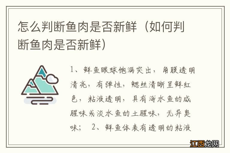 如何判断鱼肉是否新鲜 怎么判断鱼肉是否新鲜