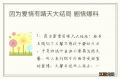 因为爱情有睛天大结局 剧情爆料