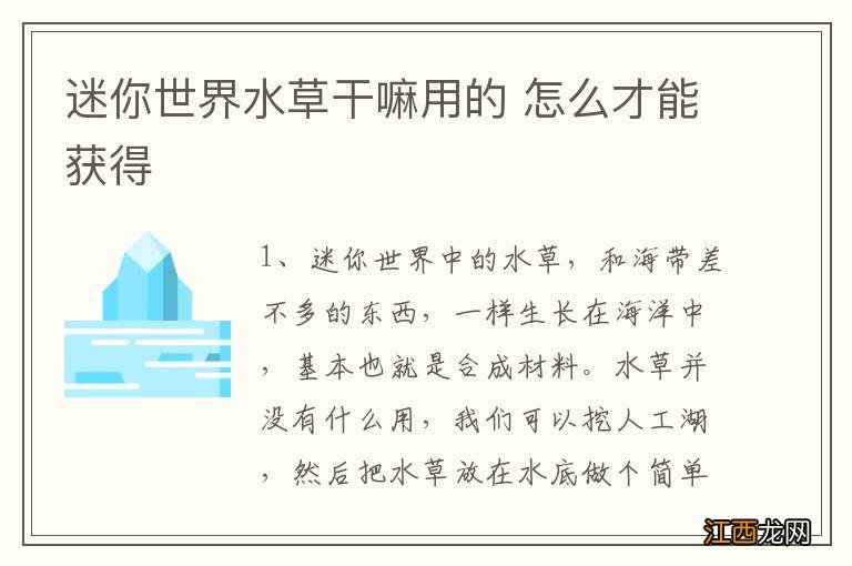 迷你世界水草干嘛用的 怎么才能获得