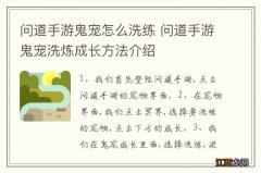 问道手游鬼宠怎么洗练 问道手游鬼宠洗炼成长方法介绍