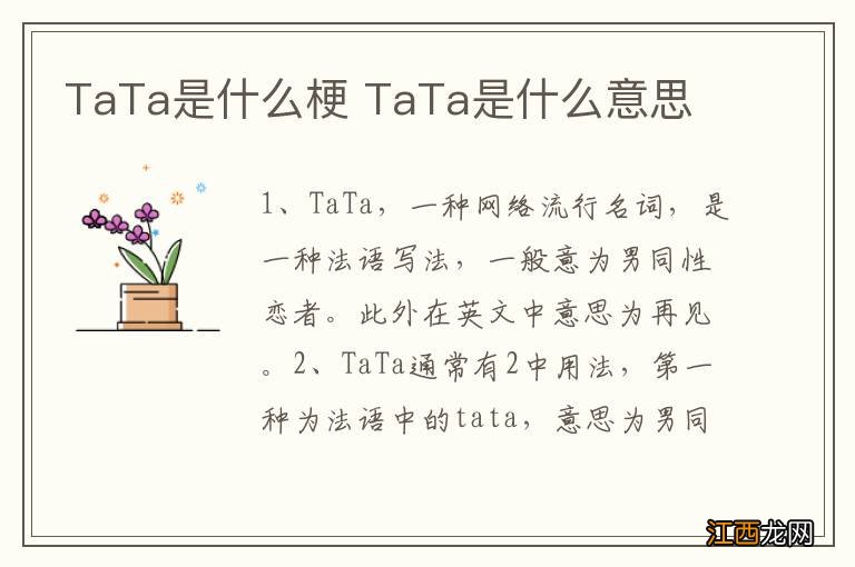 TaTa是什么梗 TaTa是什么意思