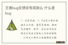 王者bug反馈会有奖励么 什么是bug