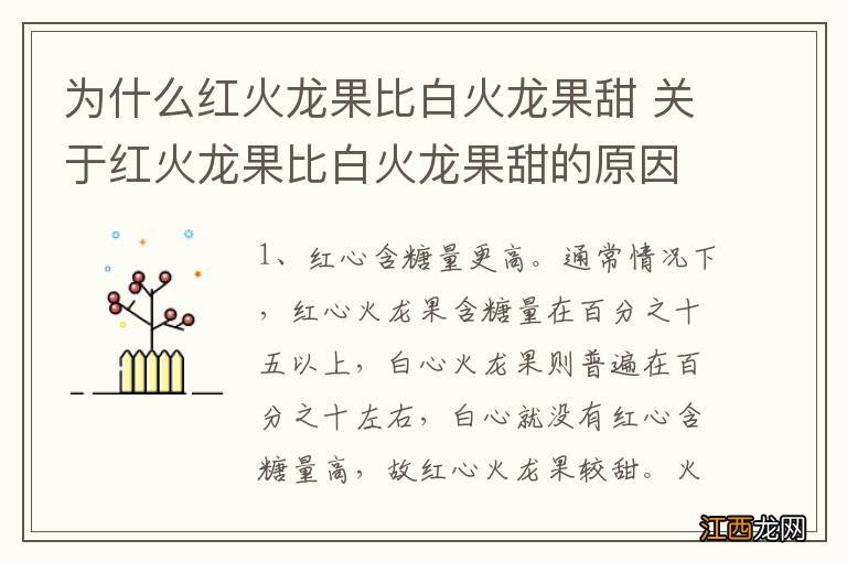 为什么红火龙果比白火龙果甜 关于红火龙果比白火龙果甜的原因