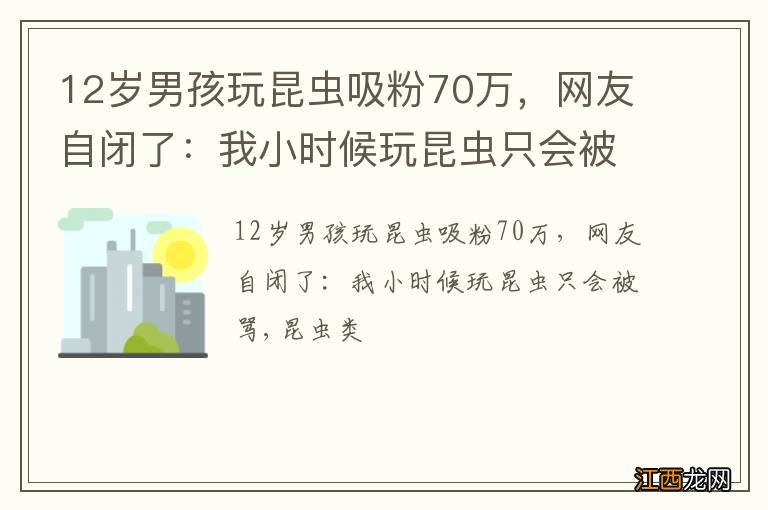 12岁男孩玩昆虫吸粉70万，网友自闭了：我小时候玩昆虫只会被骂