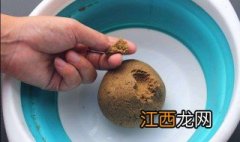 捞河虾用什么饵料好 捞河虾用什么饵料