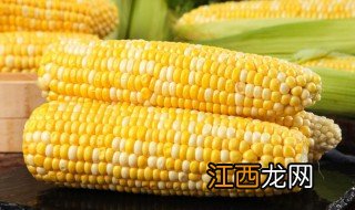 怎么储存新鲜玉米 新鲜玉米怎么储存