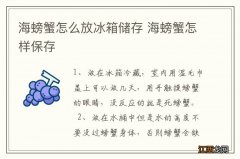 海螃蟹怎么放冰箱储存 海螃蟹怎样保存