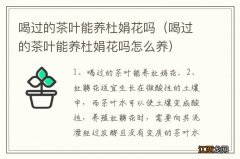 喝过的茶叶能养杜娟花吗怎么养 喝过的茶叶能养杜娟花吗