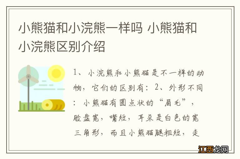 小熊猫和小浣熊一样吗 小熊猫和小浣熊区别介绍