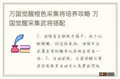 万国觉醒橙色采集将培养攻略 万国觉醒采集武将搭配