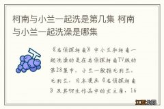 柯南与小兰一起洗是第几集 柯南与小兰一起洗澡是哪集