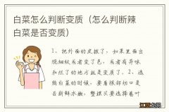 怎么判断辣白菜是否变质 白菜怎么判断变质