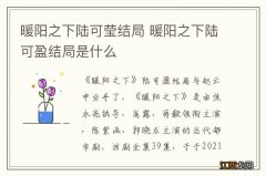 暖阳之下陆可莹结局 暖阳之下陆可盈结局是什么