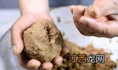 打窝后为什么不能直接钓鱼 钓鱼打窝用什么饵料