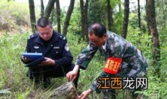 警察调查流程图 警察调查流程