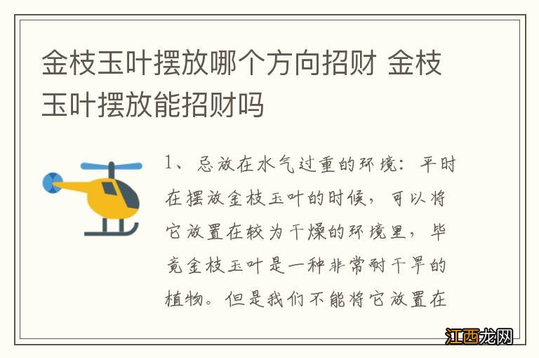 金枝玉叶摆放哪个方向招财 金枝玉叶摆放能招财吗