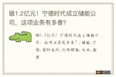 砸1.2亿元！宁德时代成立储能公司，这项业务有多香？