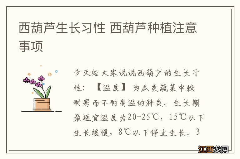 西葫芦生长习性 西葫芦种植注意事项