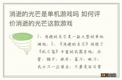 消逝的光芒是单机游戏吗 如何评价消逝的光芒这款游戏