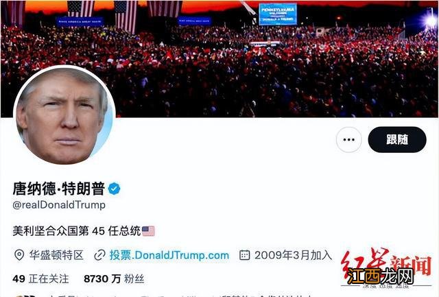 一夜间涨粉8700万！特朗普在推特“满血复活”，至今未发一言