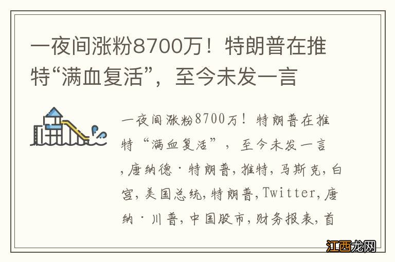 一夜间涨粉8700万！特朗普在推特“满血复活”，至今未发一言