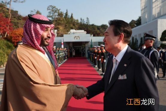 沙特王储访韩后被曝取消访日,韩官员:他可能觉得来韩国就够了