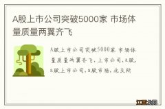 A股上市公司突破5000家 市场体量质量两翼齐飞