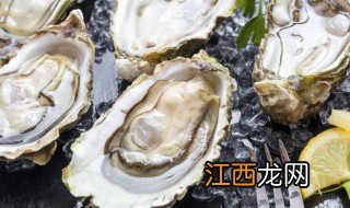 海蛎子是生蚝不 海蛎子的简介