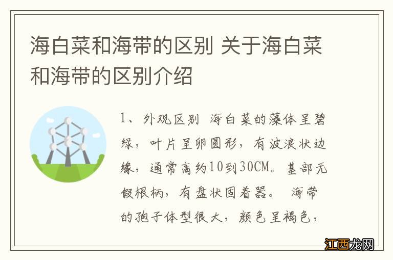 海白菜和海带的区别 关于海白菜和海带的区别介绍