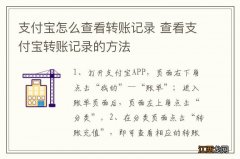 支付宝怎么查看转账记录 查看支付宝转账记录的方法