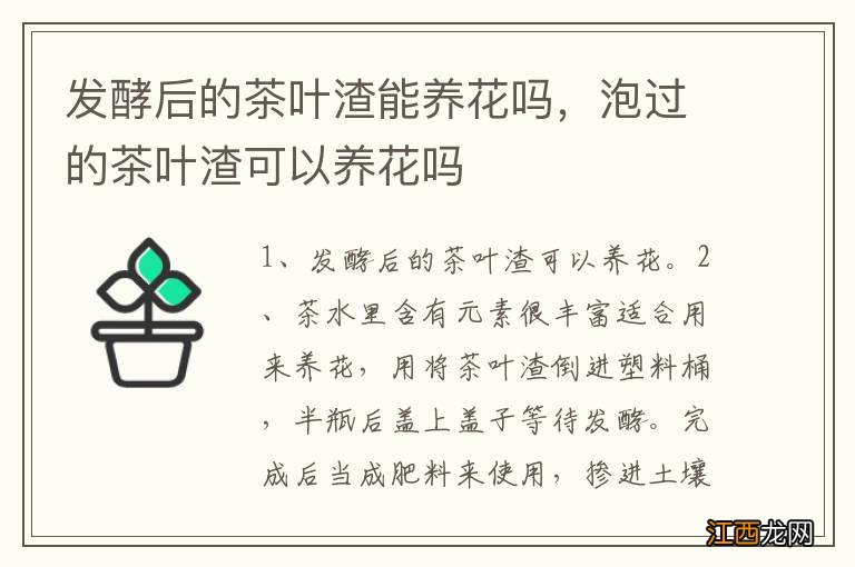 发酵后的茶叶渣能养花吗，泡过的茶叶渣可以养花吗