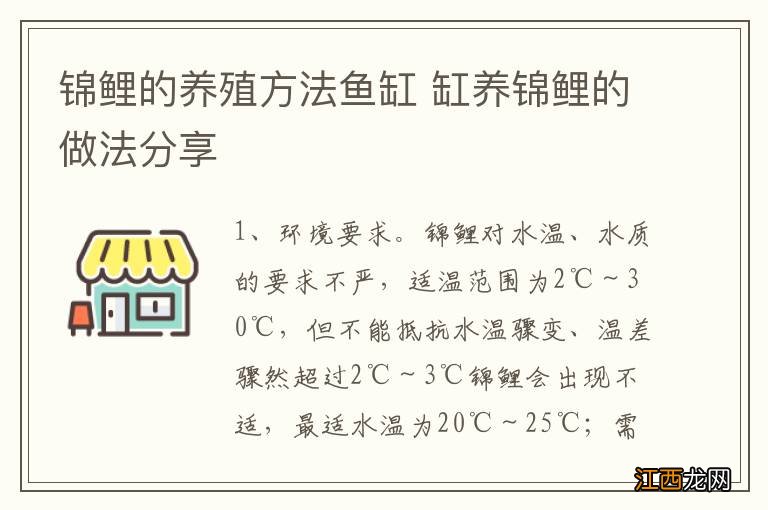 锦鲤的养殖方法鱼缸 缸养锦鲤的做法分享