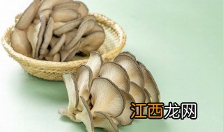 平菇怎么炒才不腥气 平菇怎么炒才不腥