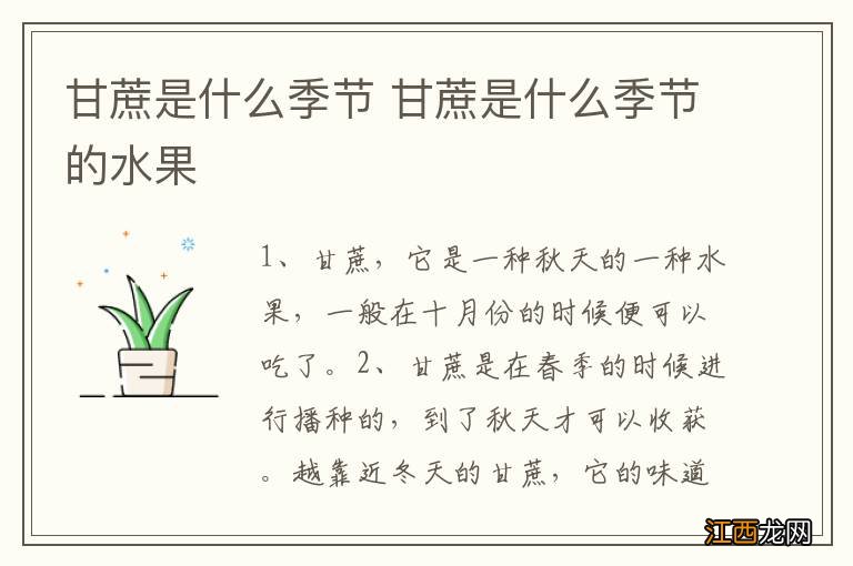 甘蔗是什么季节 甘蔗是什么季节的水果