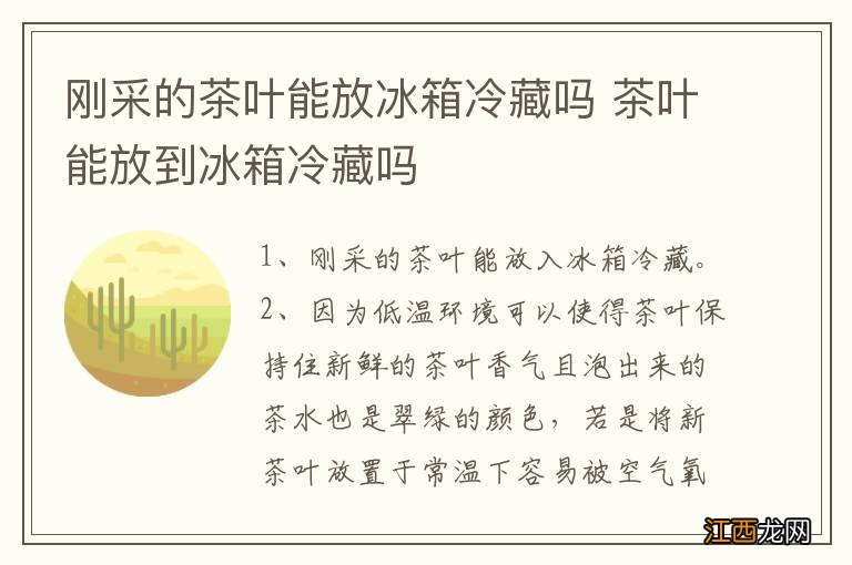 刚采的茶叶能放冰箱冷藏吗 茶叶能放到冰箱冷藏吗