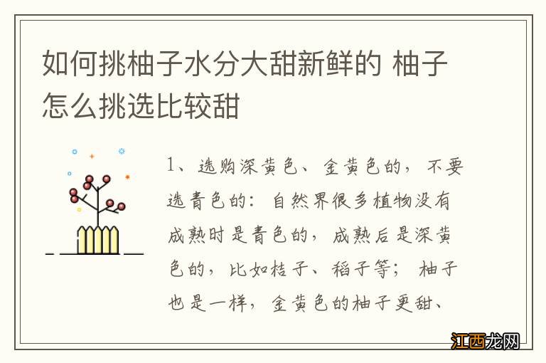 如何挑柚子水分大甜新鲜的 柚子怎么挑选比较甜