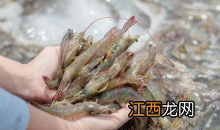 甜虾怎么吃最好 如何挑甜虾