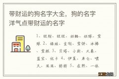 带财运的狗名字大全，狗的名字洋气点带财运的名字