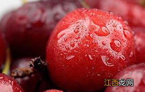 孕妇能吃车厘子吗?