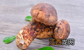 清洗冷冻松茸的正确方法 清洗冷冻松茸的正确方法视频