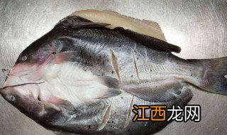 清江鱼清炖怎么做才好吃