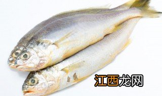 切好草鱼怎么放冰箱保存时间长 切好草鱼怎么放冰箱保存