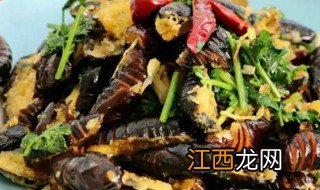 空气炸锅烤茧蛹的做法 茧蛹的做法