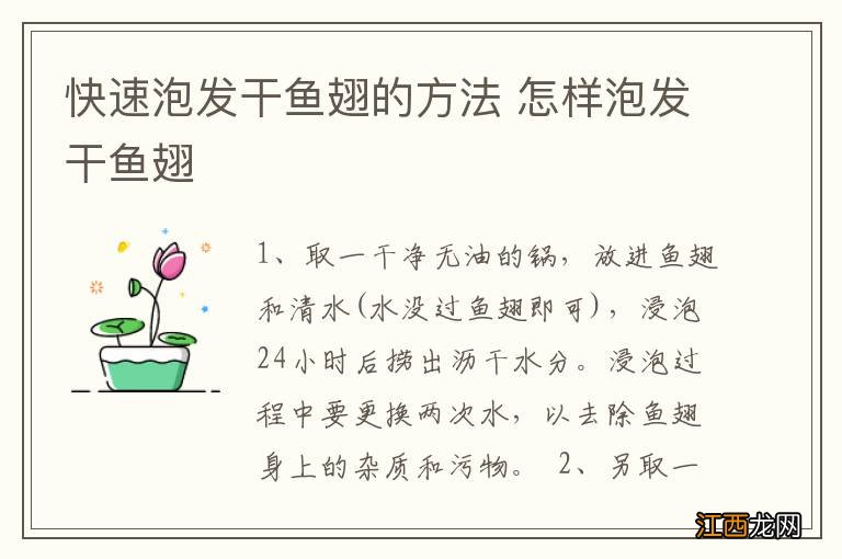 快速泡发干鱼翅的方法 怎样泡发干鱼翅