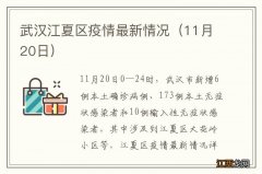 11月20日 武汉江夏区疫情最新情况