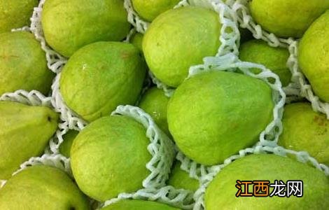 番石榴的功效与作用