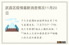 武昌区疫情最新消息情况11月20日