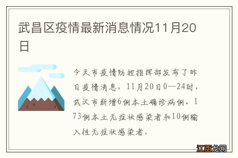 武昌区疫情最新消息情况11月20日