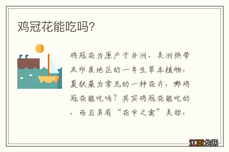 鸡冠花能吃吗?
