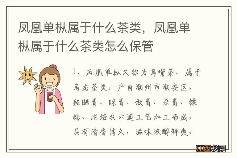 凤凰单枞属于什么茶类，凤凰单枞属于什么茶类怎么保管